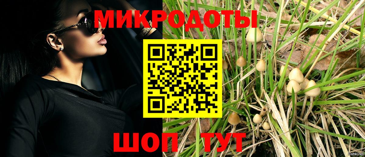 Галлюциногенные грибы мухоморы Долгопрудный