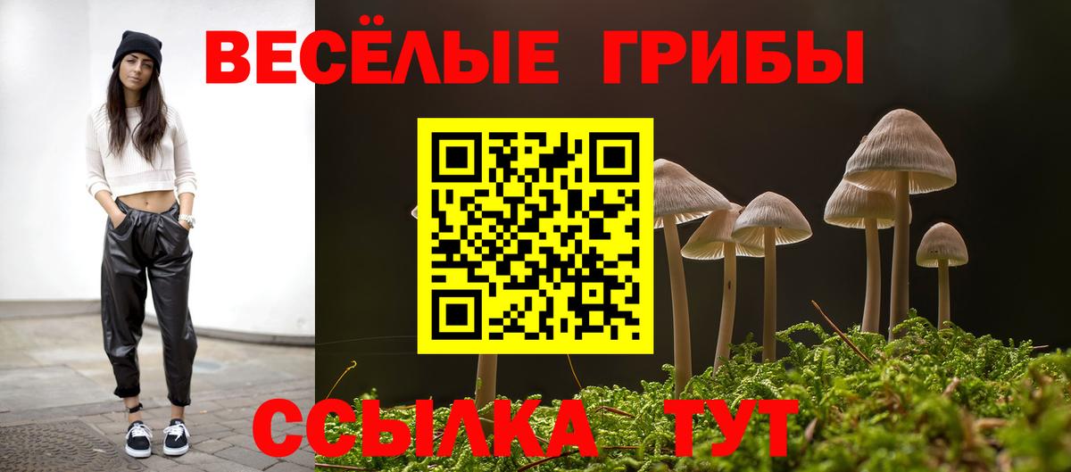 Долгопрудный  Псилоцибиновые грибы Psilocybe  Вход с VPN 